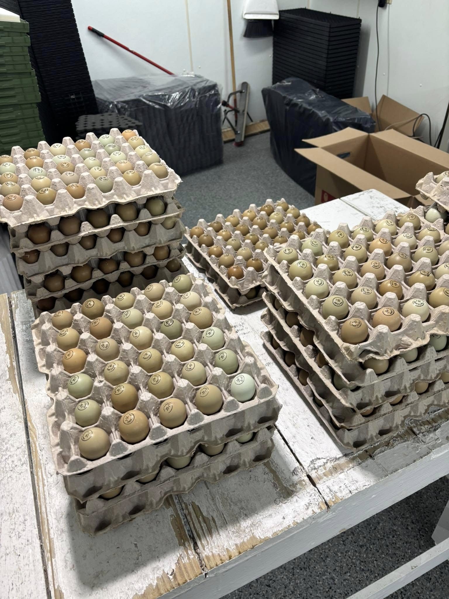 487208777_1065353648971153_4823108073845527891_n pheasant eggs stamped for international shipping