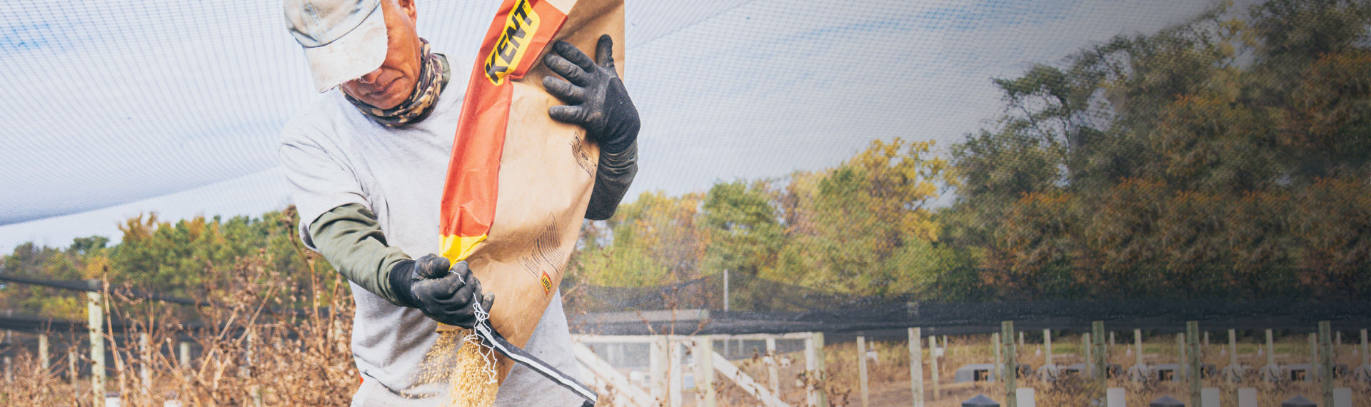 Employee Picture Employee Picture