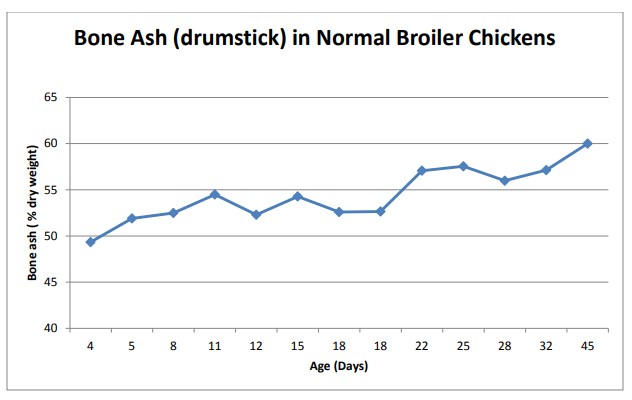 Bone Ash in Normal Broiler Chickens Bone Ash in Normal Broiler Chickens