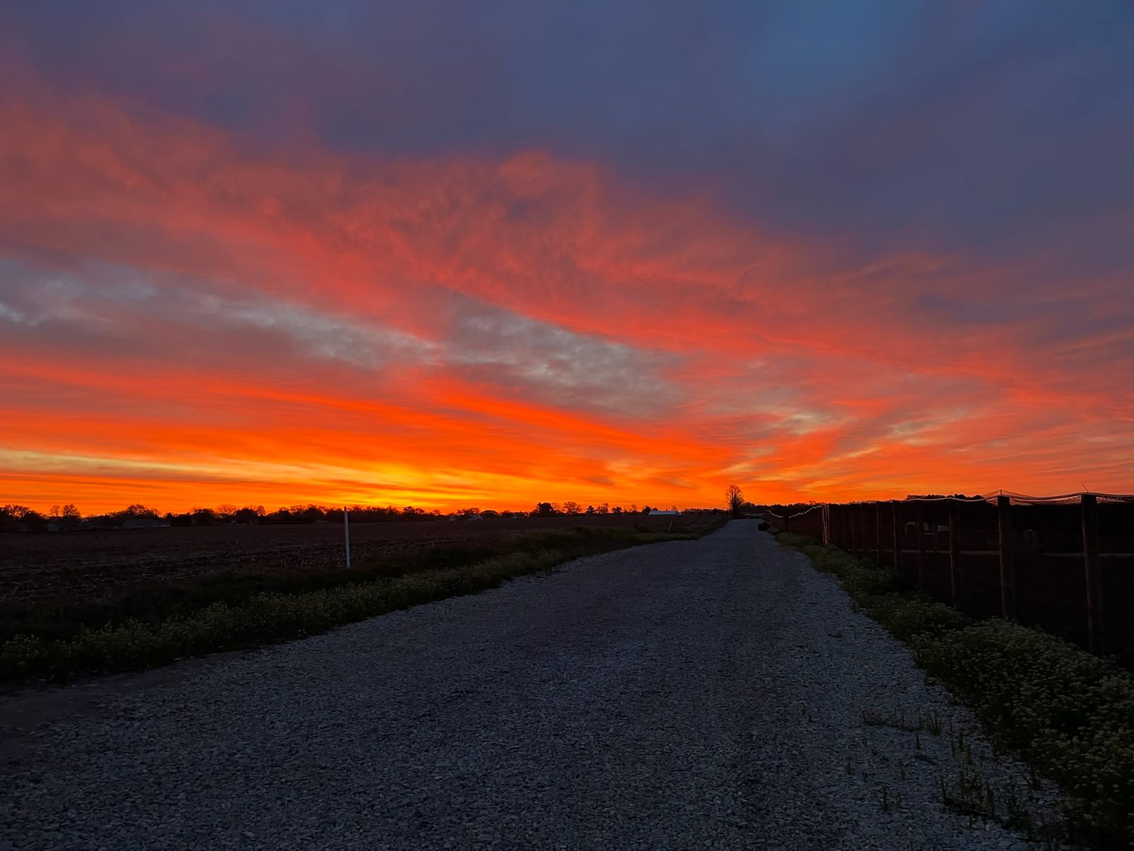 Sunset Sunset Photo