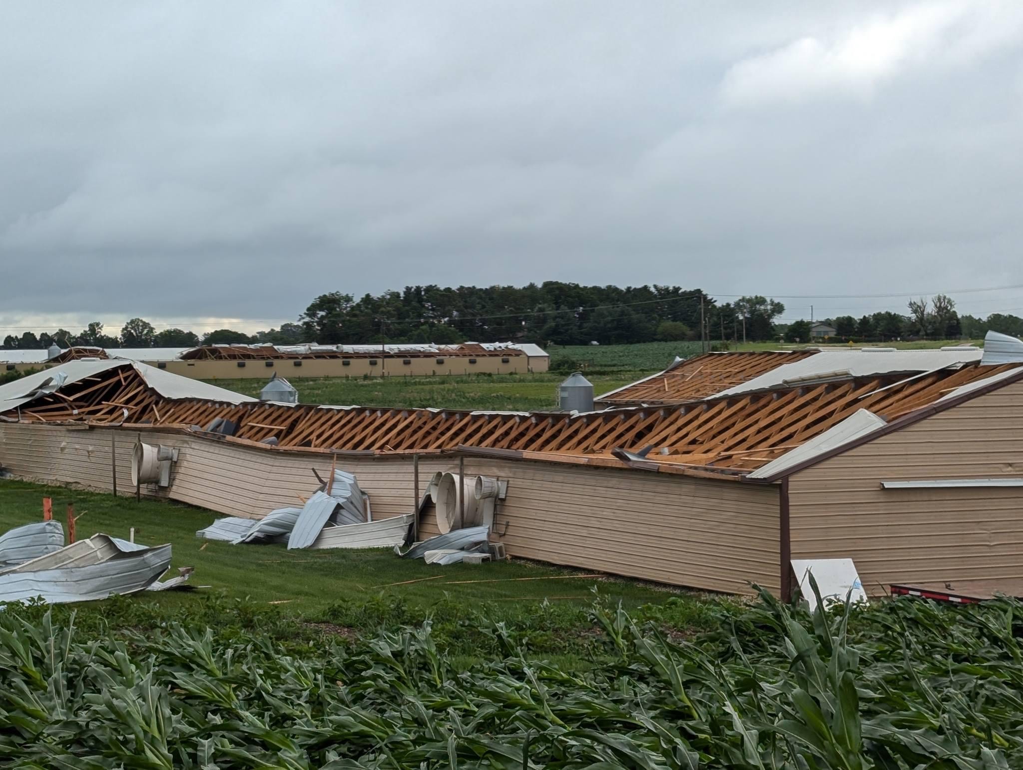 Pheasant Barn Damage at MacFarlane Pheasant After June 2024 Tornado Pheasant Barn Damage at MacFarlane Pheasant After June 2024 Tornado