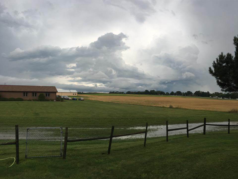 Late Season Movement of Pheasants from Barns to Flight Pens and Before You Know It, It’s Spring!1 Photo of Pheasant Farm