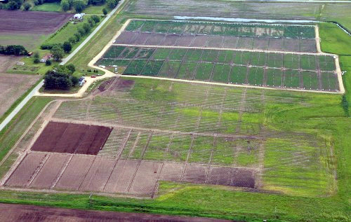 Noss Road Pheasant Farm Aerial Photo of Noss Road Pheasant Farm
