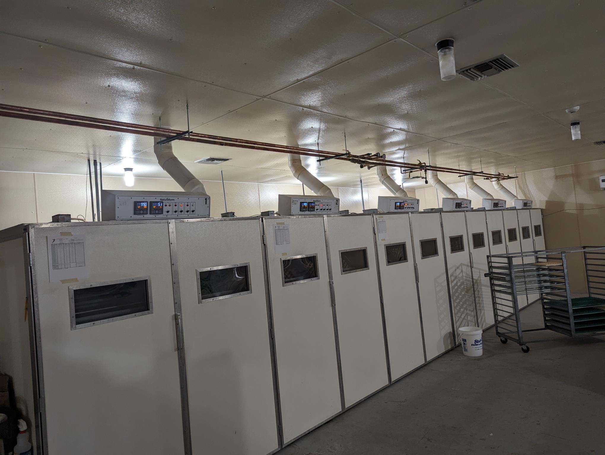 old incubators