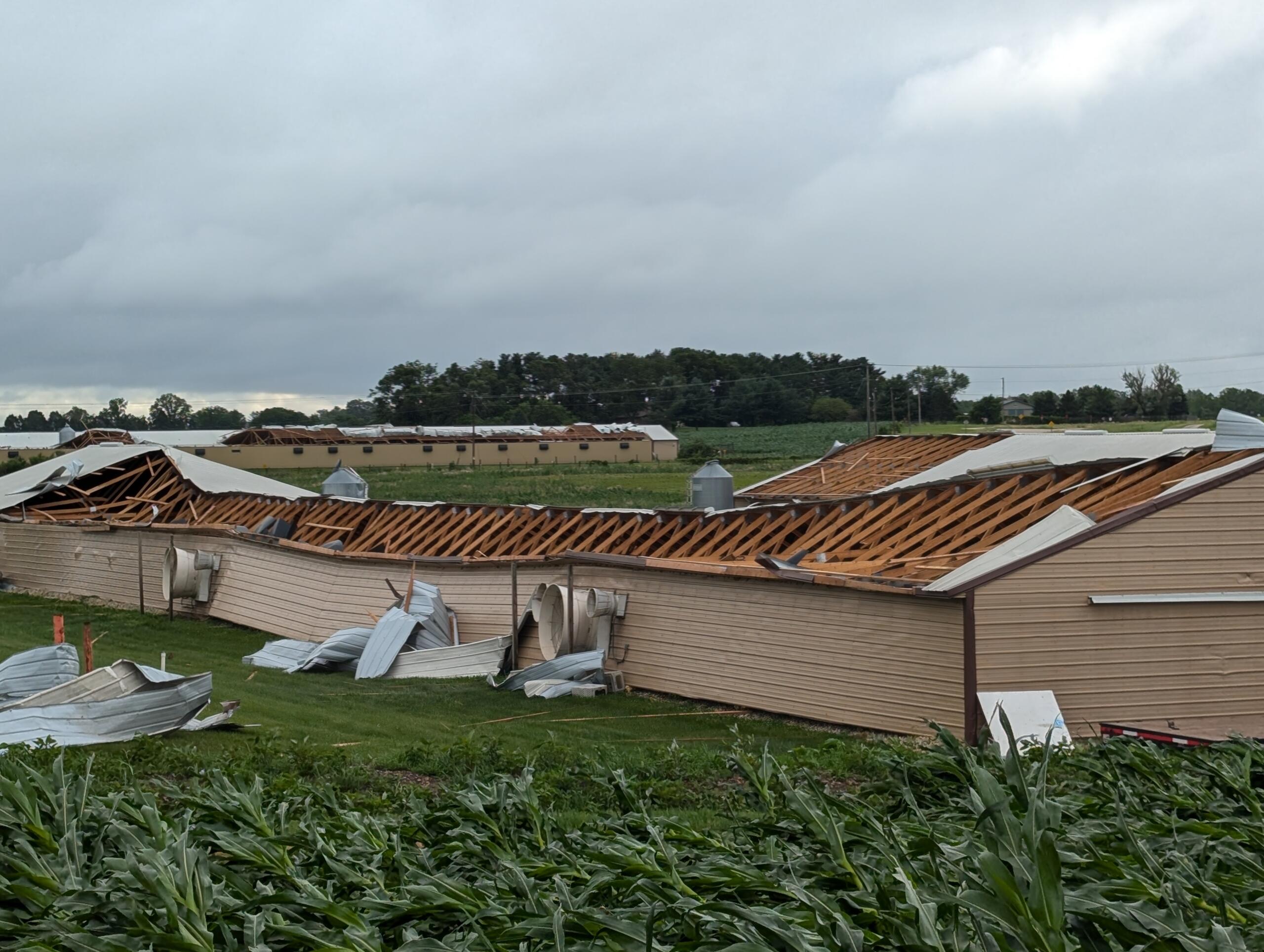 Storm Damage Photo of Storm Damage
