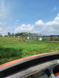 What Do We Do in Flight Pens After a Weather Event Photo of Flight Pen