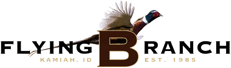 Flying B Ranch Flying B Ranch Logo