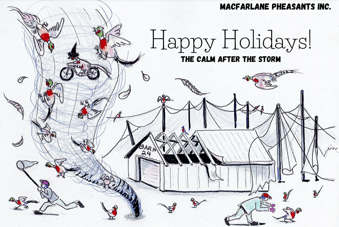 2024 Holiday Card